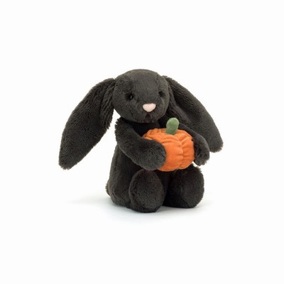 Jellycat Bashful Pumpkin Conejitos | GHFU-39870